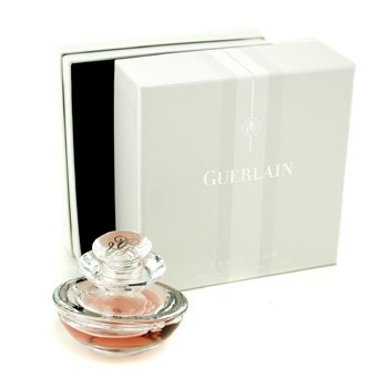 Insolence Pure Parfum