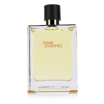 Hermes Terre DHermes Eau De Toilette Spray