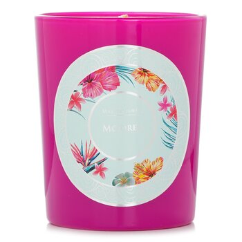 Max Benjamin Ocean Islands Candle - Moorea