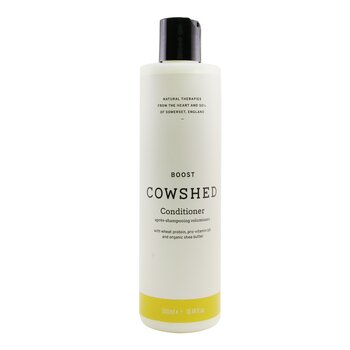 Boost Conditioner