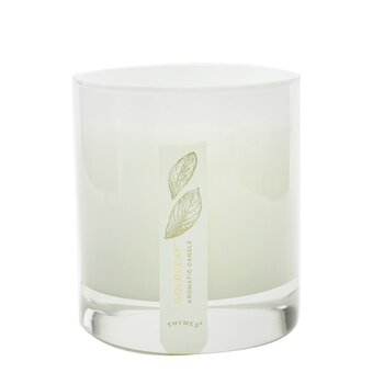 Thymes Aromatic Candle - Goldleaf