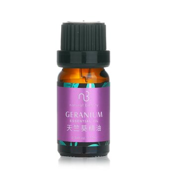 Essential Oil - Geranium