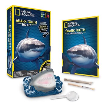 National Geographic National Geographic Shark Tooth Dig Kit