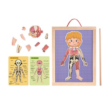 Tooky Toy Co Body Magnetic Chart