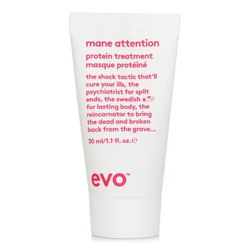 Evo Mane Attention Protein Treatment