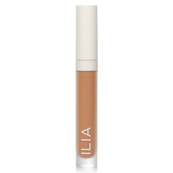 True Skin Serum Concealer - # SC6 Mesquite