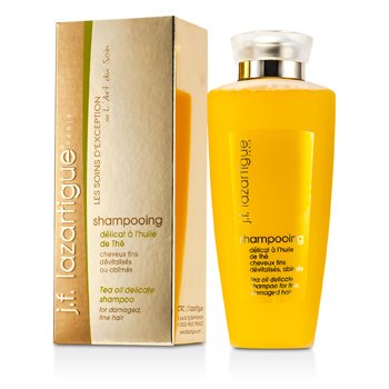Tea Oil Delicate Shampoo